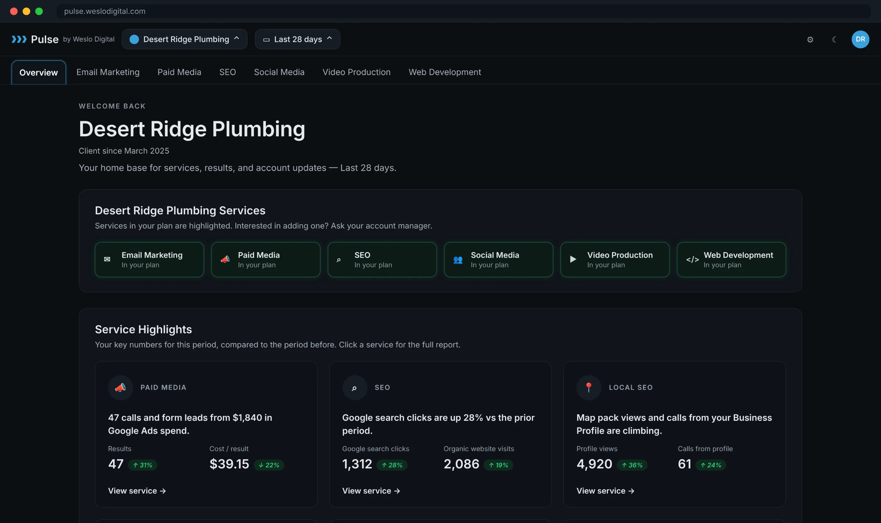 The Weslo Pulse client dashboard, showing every service for an account in one place